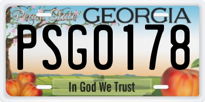 GA license plate PSG0178
