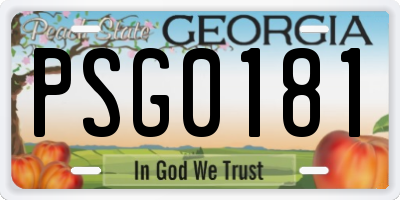 GA license plate PSG0181