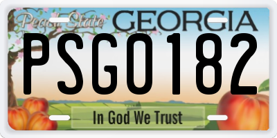 GA license plate PSG0182