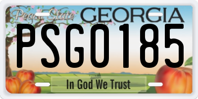 GA license plate PSG0185