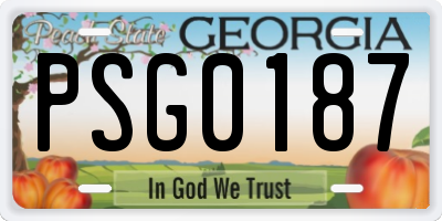 GA license plate PSG0187