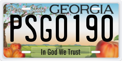 GA license plate PSG0190