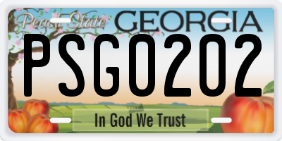 GA license plate PSG0202