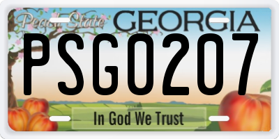GA license plate PSG0207