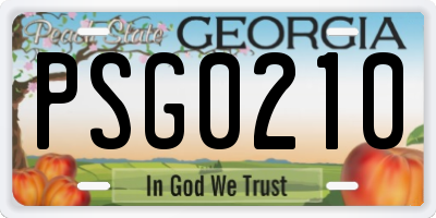 GA license plate PSG0210