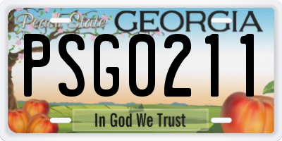 GA license plate PSG0211