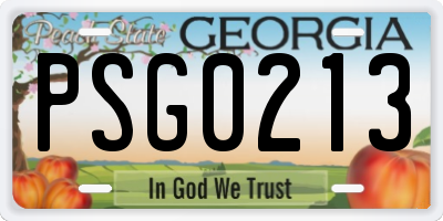 GA license plate PSG0213