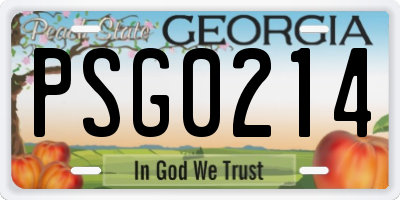 GA license plate PSG0214