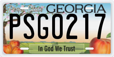 GA license plate PSG0217