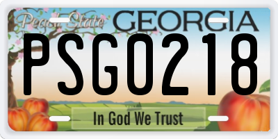 GA license plate PSG0218