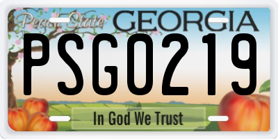 GA license plate PSG0219