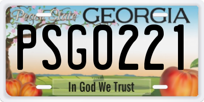 GA license plate PSG0221