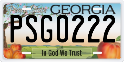 GA license plate PSG0222