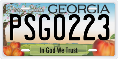 GA license plate PSG0223