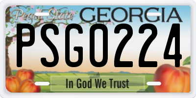 GA license plate PSG0224