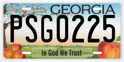 GA license plate PSG0225