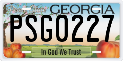 GA license plate PSG0227