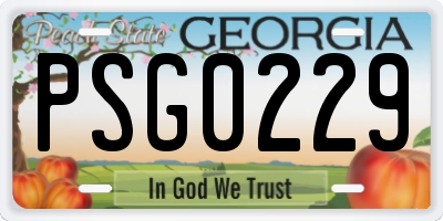 GA license plate PSG0229