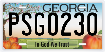 GA license plate PSG0230