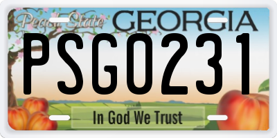 GA license plate PSG0231