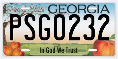 GA license plate PSG0232
