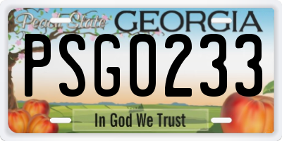 GA license plate PSG0233