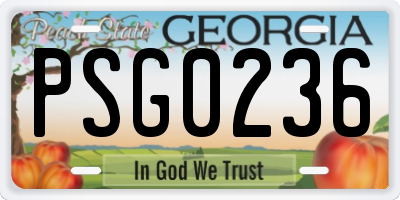 GA license plate PSG0236