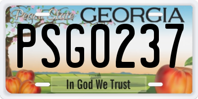 GA license plate PSG0237