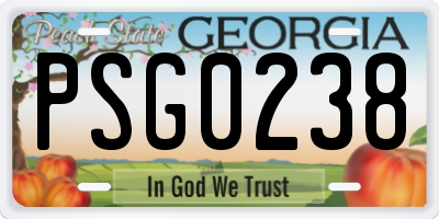 GA license plate PSG0238