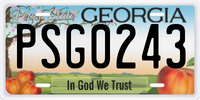 GA license plate PSG0243