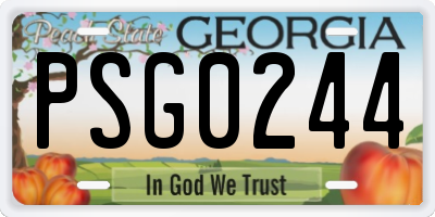 GA license plate PSG0244