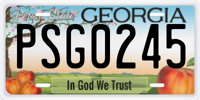 GA license plate PSG0245