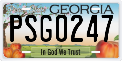 GA license plate PSG0247