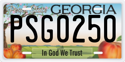 GA license plate PSG0250