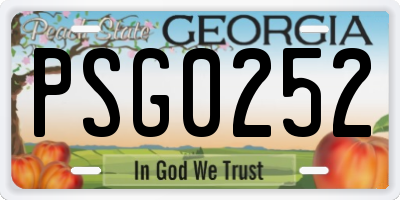 GA license plate PSG0252