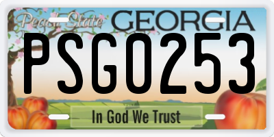 GA license plate PSG0253