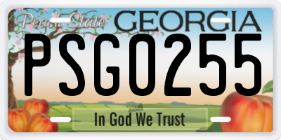 GA license plate PSG0255