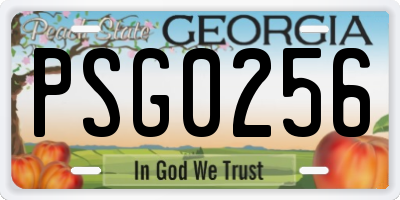 GA license plate PSG0256
