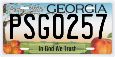 GA license plate PSG0257