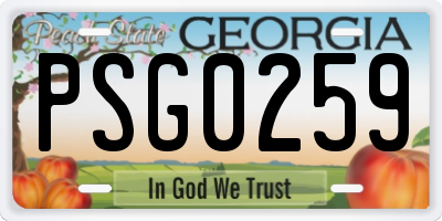 GA license plate PSG0259