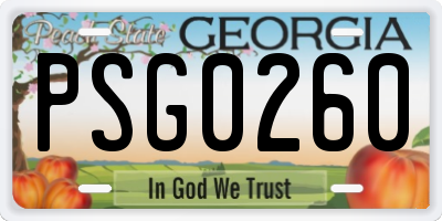 GA license plate PSG0260
