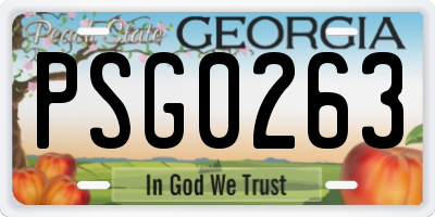 GA license plate PSG0263