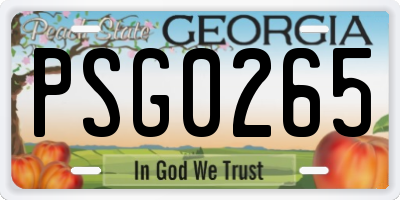 GA license plate PSG0265