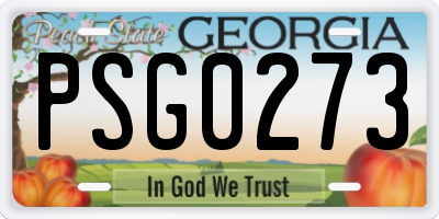 GA license plate PSG0273