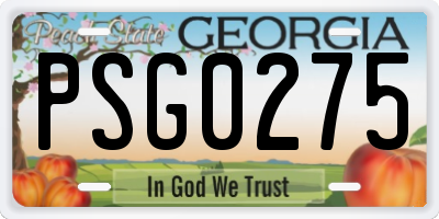 GA license plate PSG0275