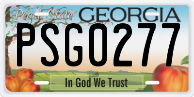 GA license plate PSG0277