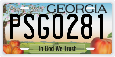 GA license plate PSG0281