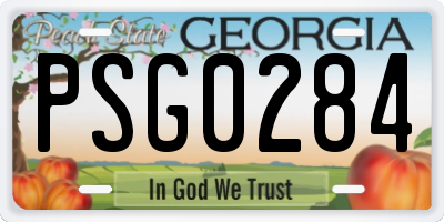 GA license plate PSG0284
