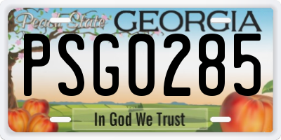 GA license plate PSG0285