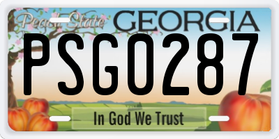 GA license plate PSG0287